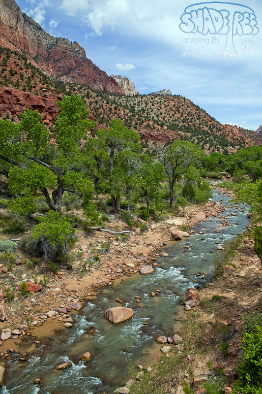 Scenes From Zion - Scenery