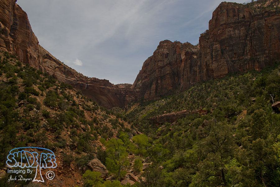 Scenes From Zion - Scenery