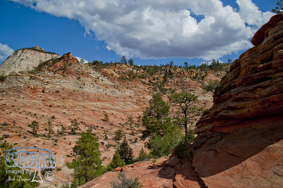 Scenes From Zion - Scenery