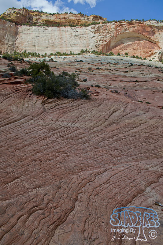 Scenes From Zion - Scenery