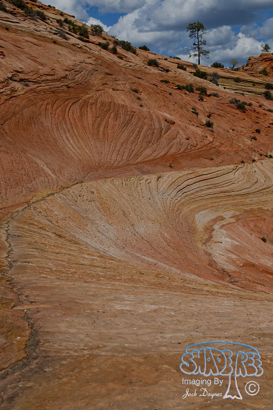 Scenes From Zion - Scenery