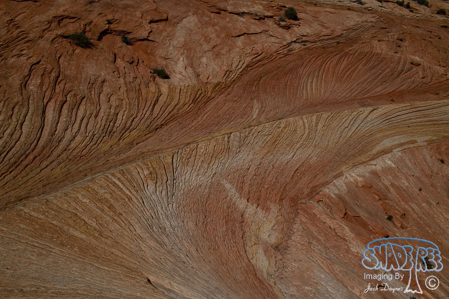 Scenes From Zion - Scenery
