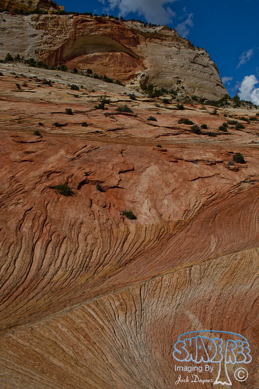 Scenes From Zion - Scenery