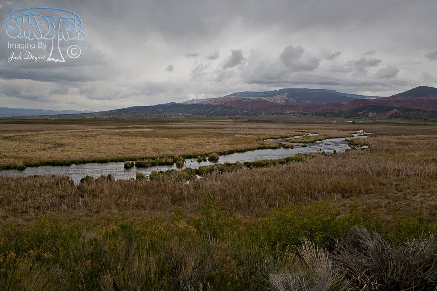 Pine Creek - Scenery
