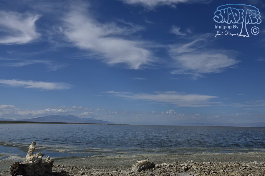 Salton Sea Skies - n/a