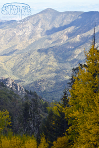 2015-10-18 Mount Lemmon