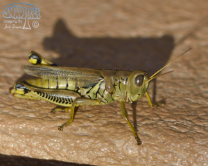 2015-11-12 Arizona Trip Favorites