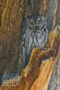 Memories of the Rio Grande Nature Center