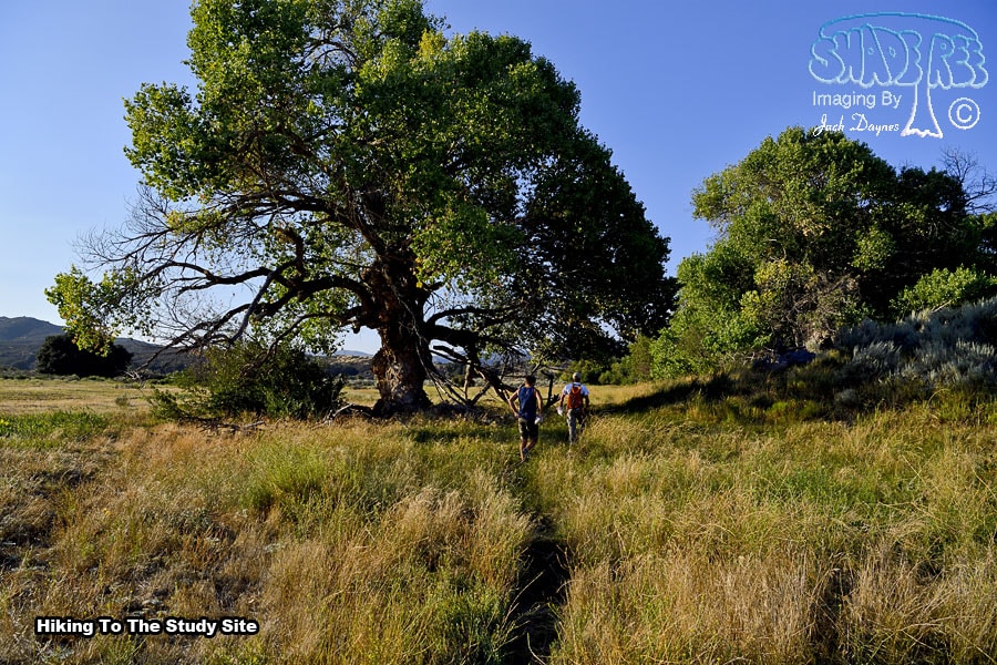 Hiking To The Study Site