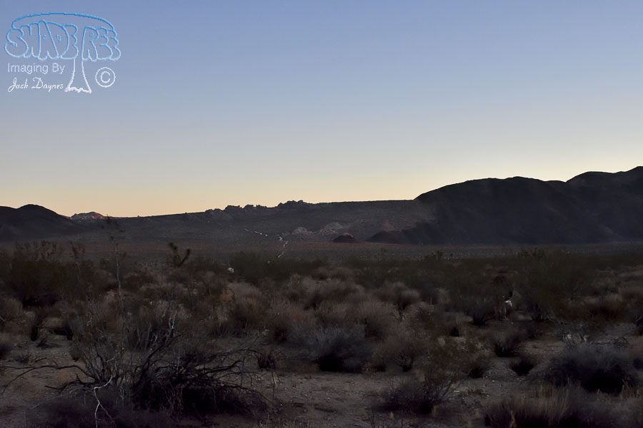 Field Work at Dawn - n/a