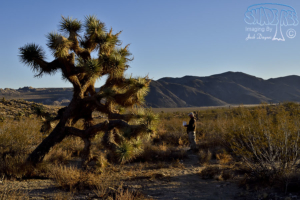 2016 – Early October Camping At Pinyon Wells