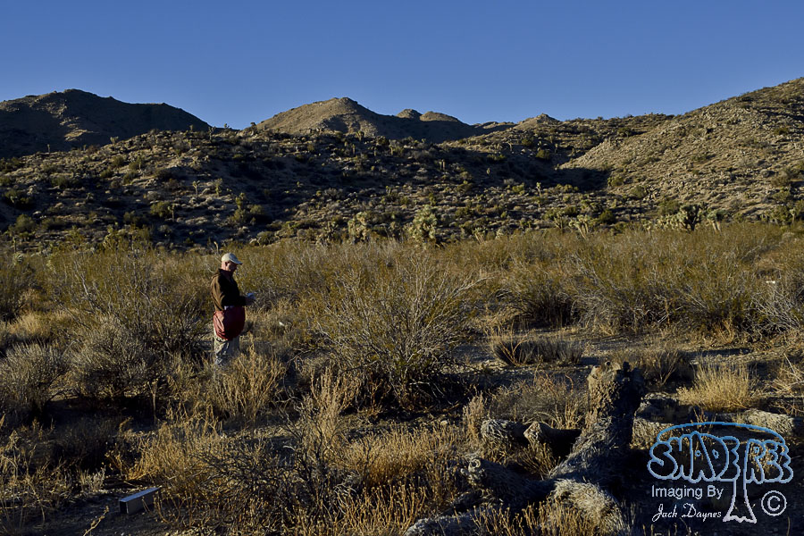 Field Work at Dawn - n/a