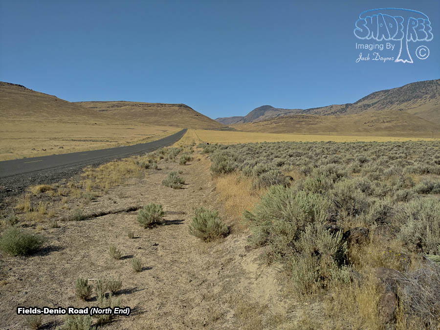 Fields-Denio Road - Scenery