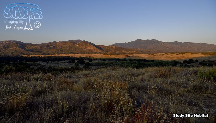 Study Site Habitat