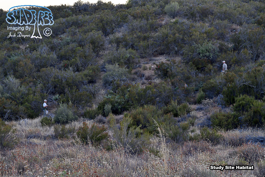 Study Site Habitat