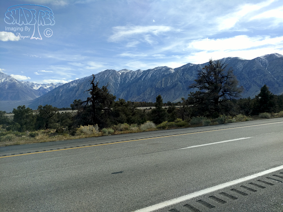 Drive By Scenery - n/a