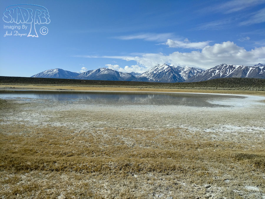 Alakali Ponds at Wild Willy's Hot Spring - n/a
