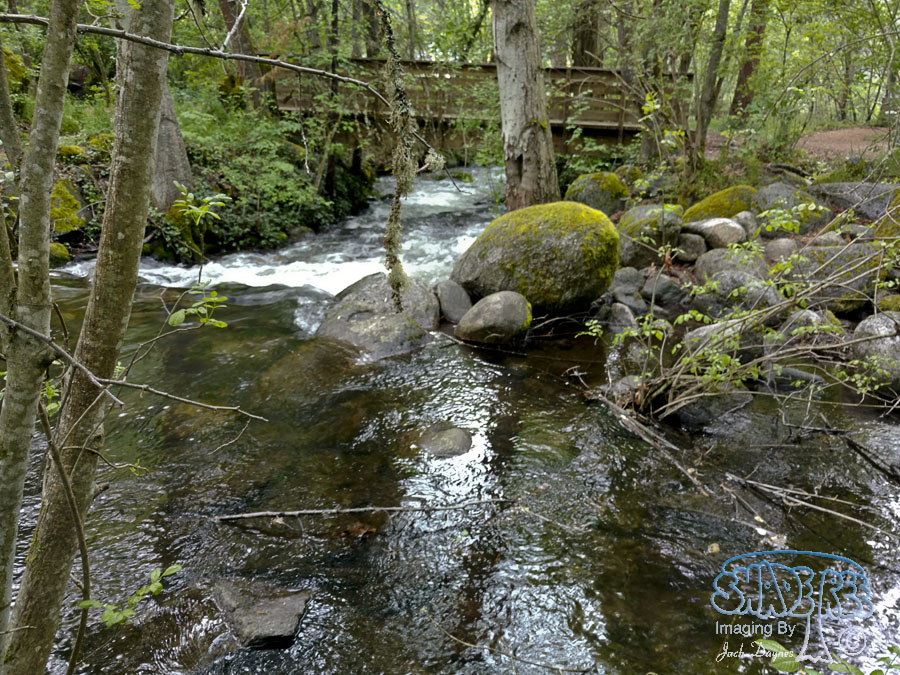 Lithia Park - n/a