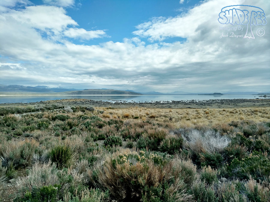 Mono Lake Vista - n/a