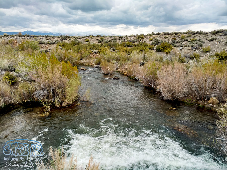 Mono Lake Vista - n/a
