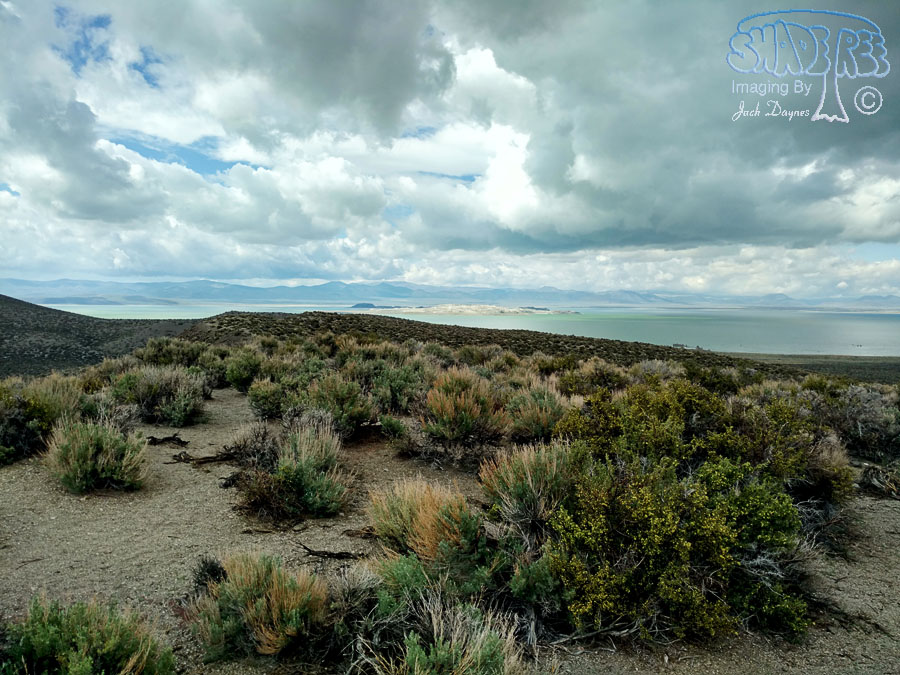 Mono Lake Vista - n/a