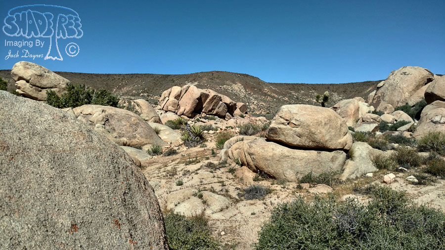 Ancient Petroglyphs - n/a