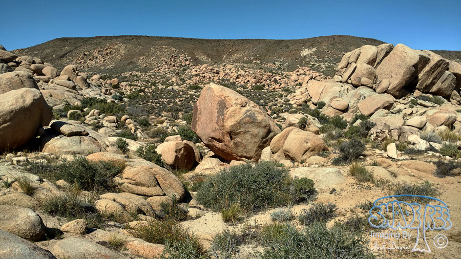 Ancient Petroglyphs - n/a