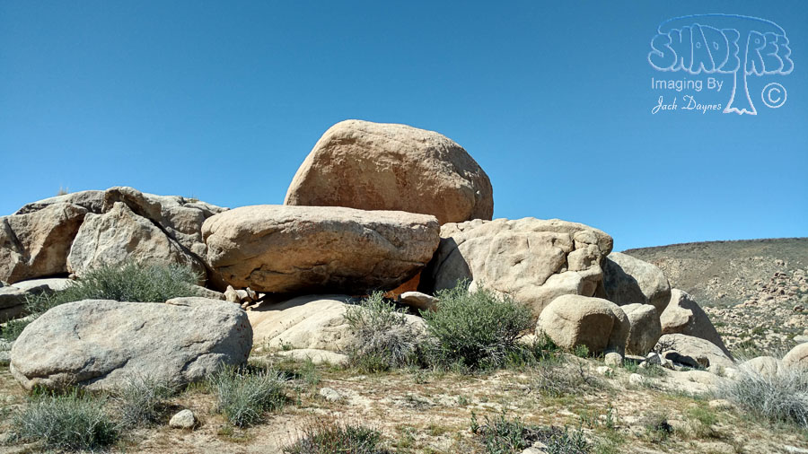 Ancient Petroglyphs - n/a