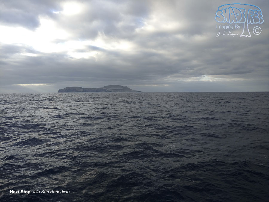 Isla San Benedicto - n/a