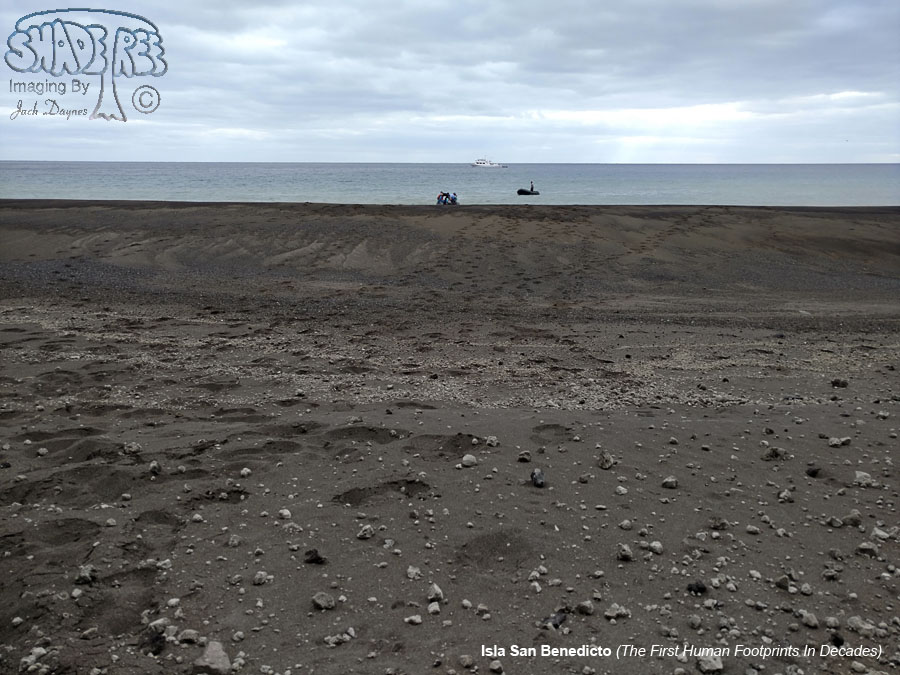 The First Human Footprints In Decades - n/a