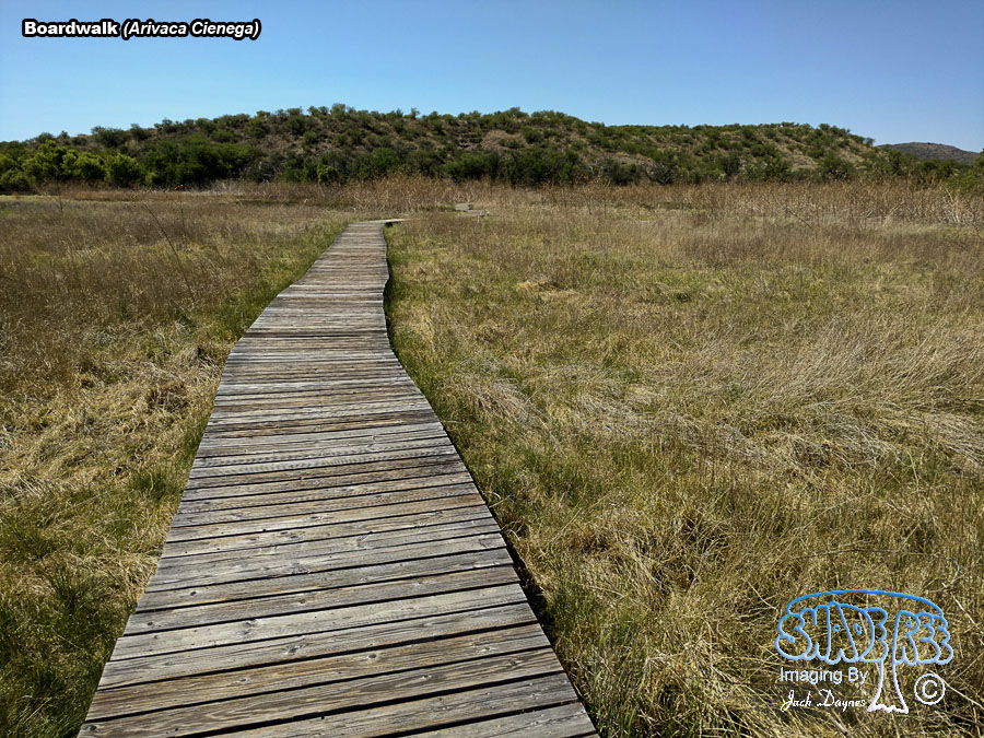 Boardwalk - Arivaca Cienega
