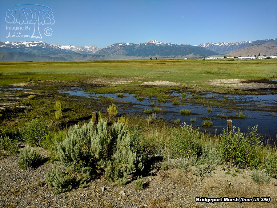 Bridgeport Marshland Scenery - n/a