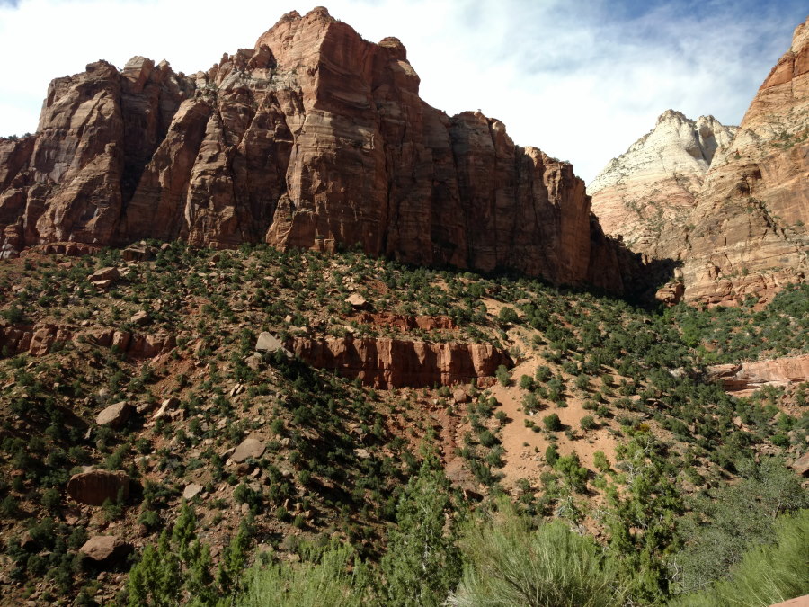 Driveby Scenery In Zion National Park - Scenery