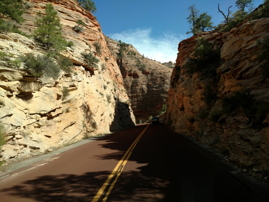 Driveby Scenery In Zion National Park - Scenery