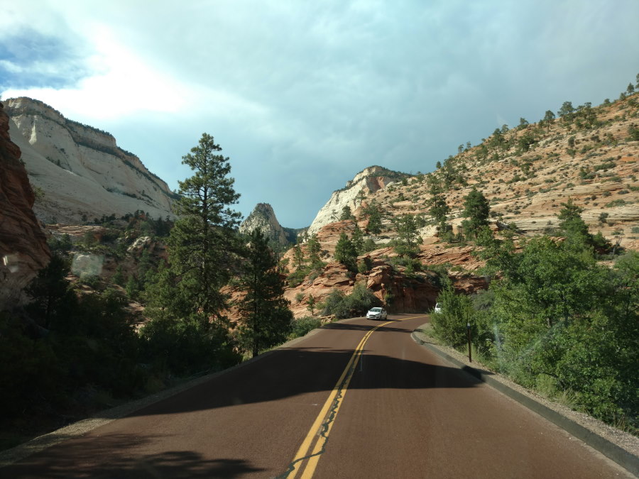 Driveby Scenery In Zion National Park - Scenery
