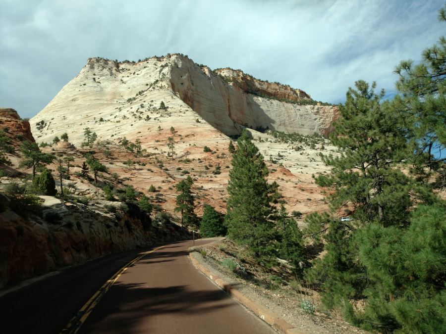 Driveby Scenery In Zion National Park - Scenery