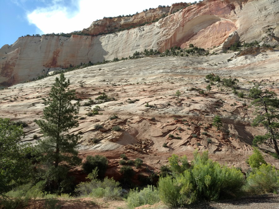 Driveby Scenery In Zion National Park - Scenery