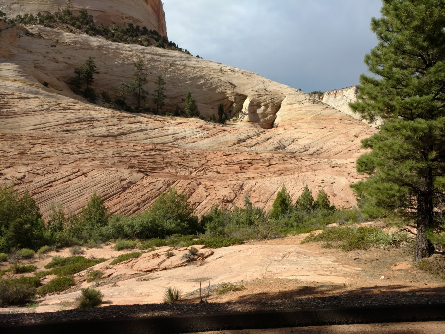 Driveby Scenery In Zion National Park - Scenery