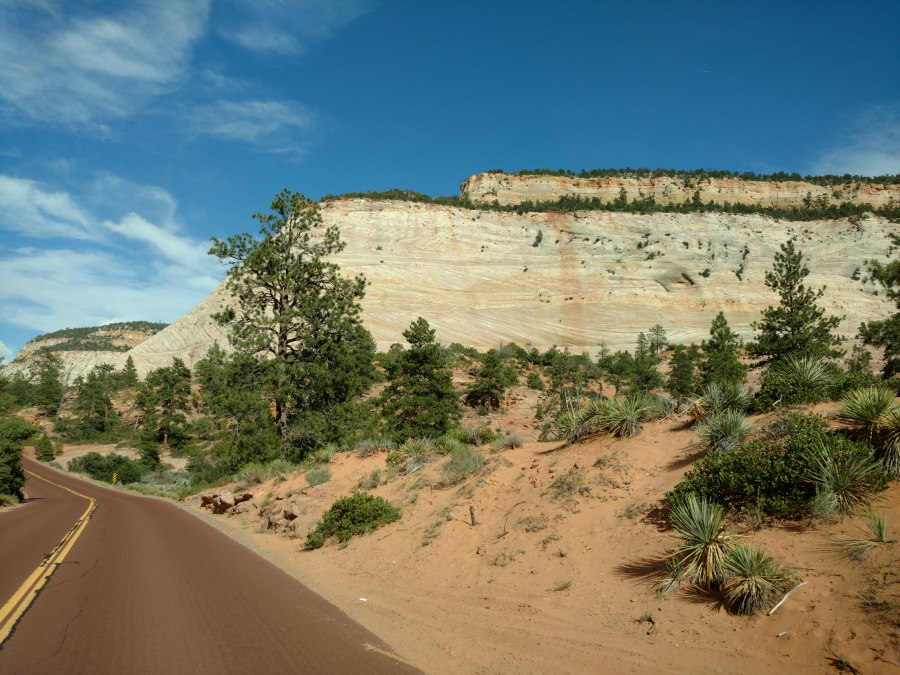 Driveby Scenery In Zion National Park - Scenery