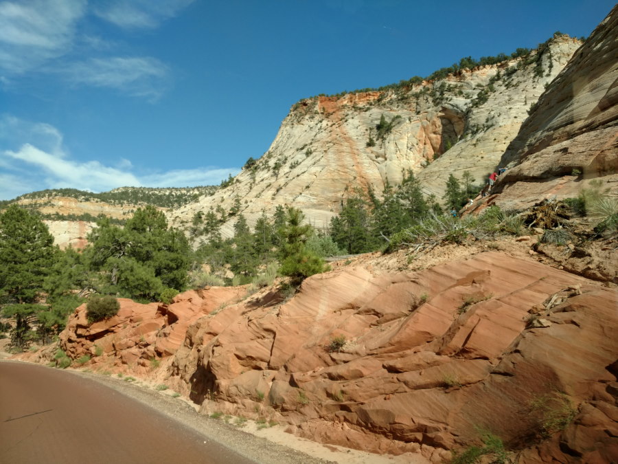 Driveby Scenery In Zion National Park - Scenery