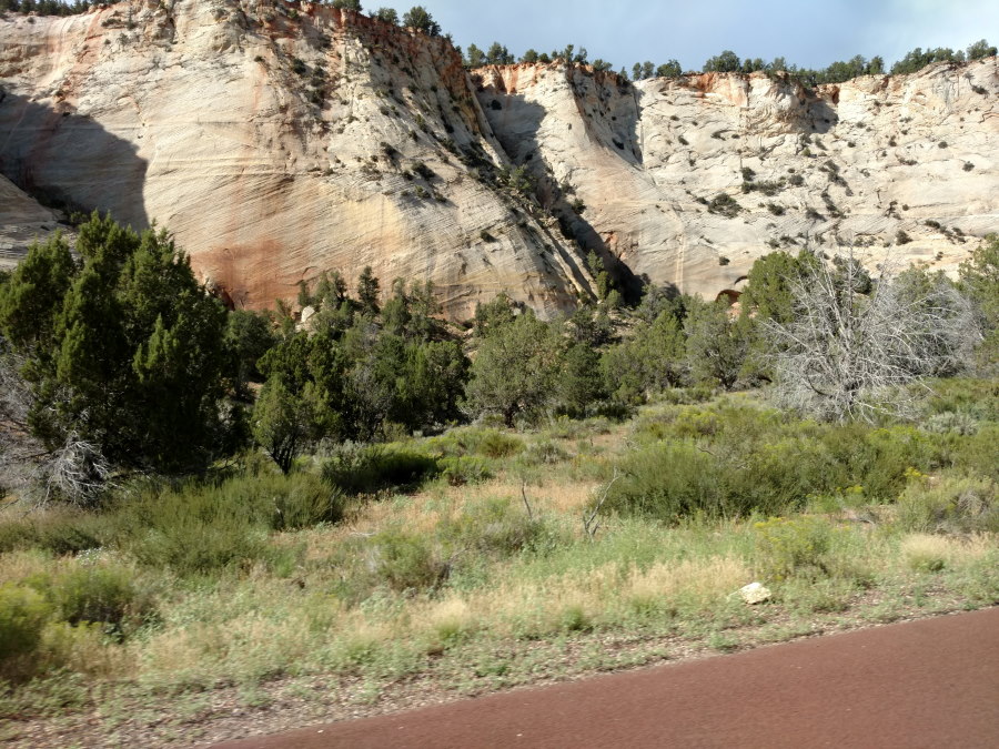 Driveby Scenery In Zion National Park - Scenery