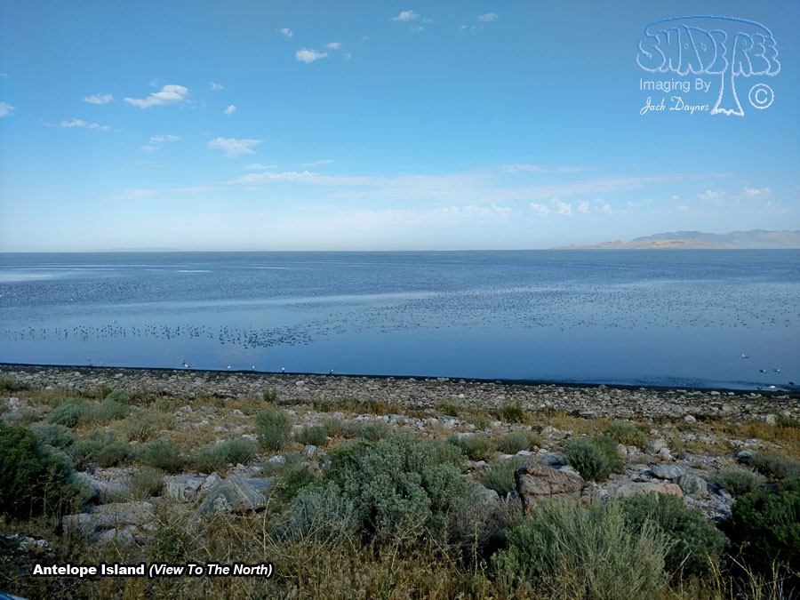 Antelope Island - Scenery