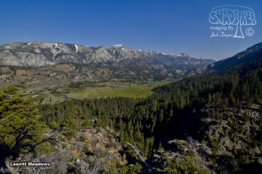 Leavitt Meadows - Scenery