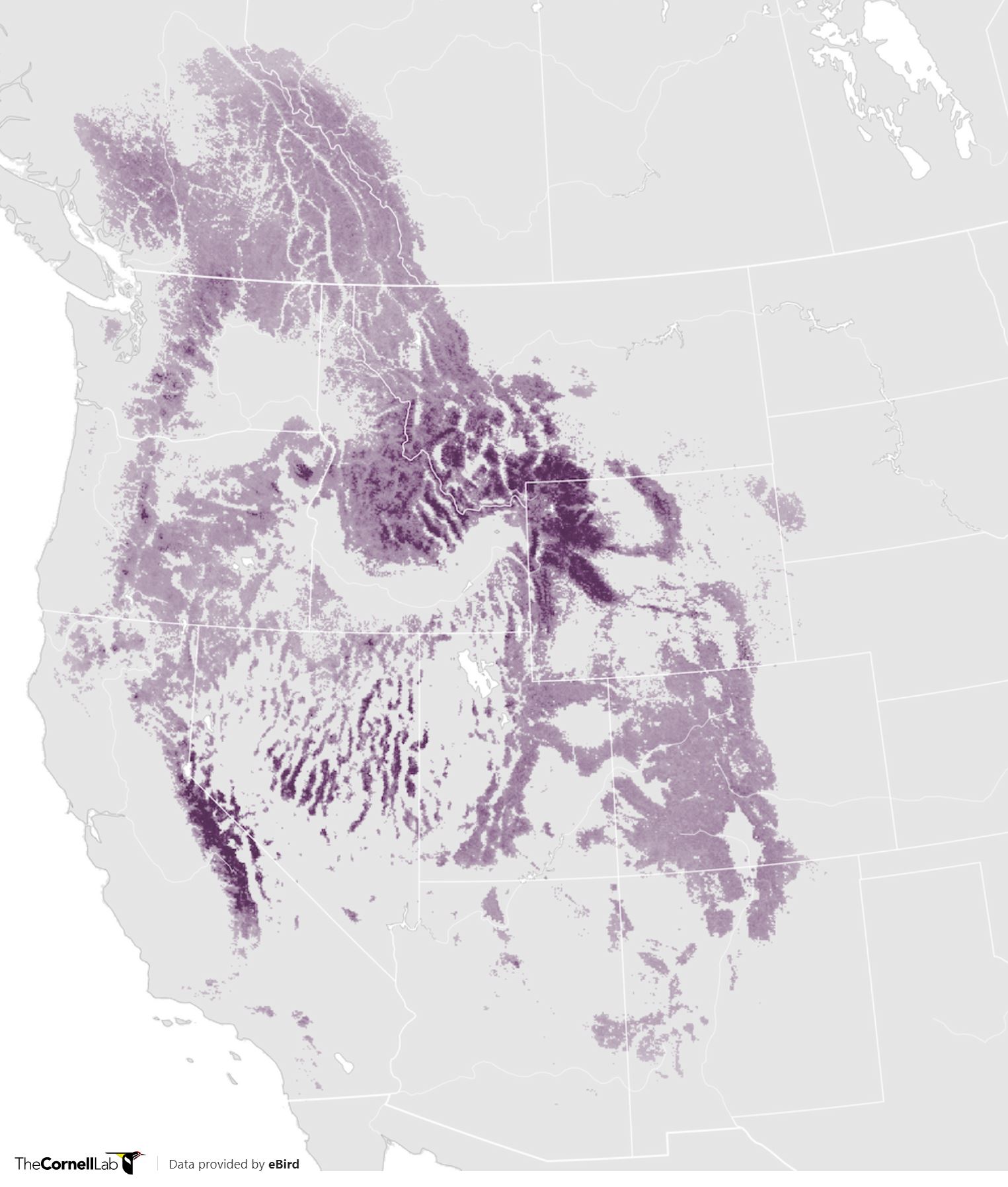 Range Map for Clark’s Nutcracker