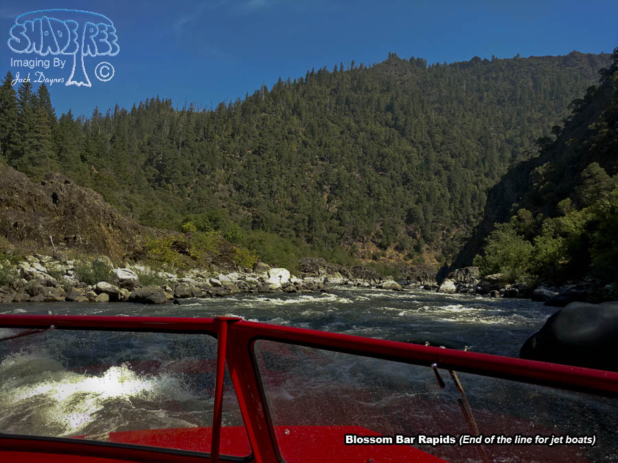Blossom Bar Rapids - Scenery