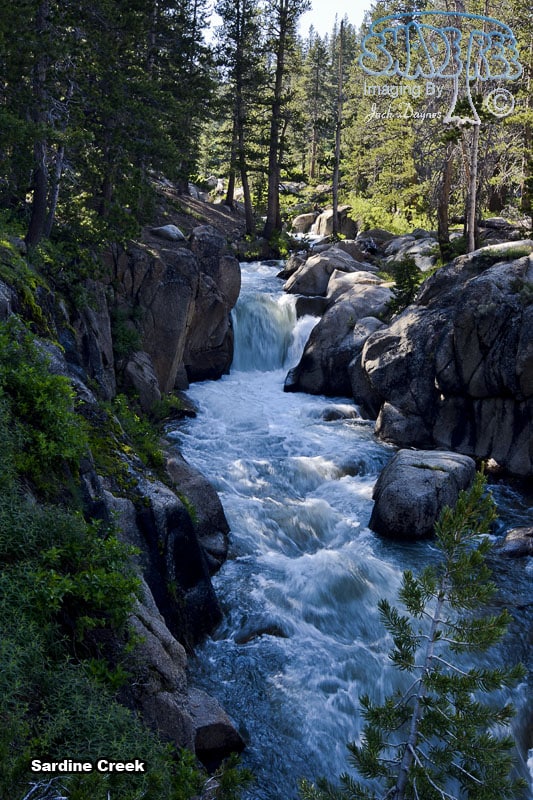 Sardine Creek - Scenery