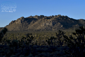 2016-11-08~14: Camping In The Mojave