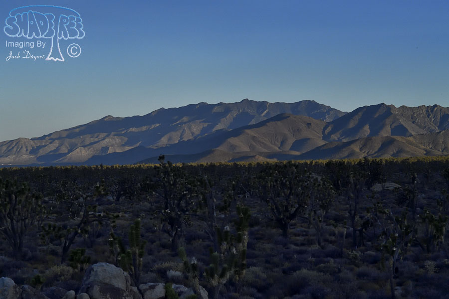 Scenery Near Camp at Daybreak - n/a