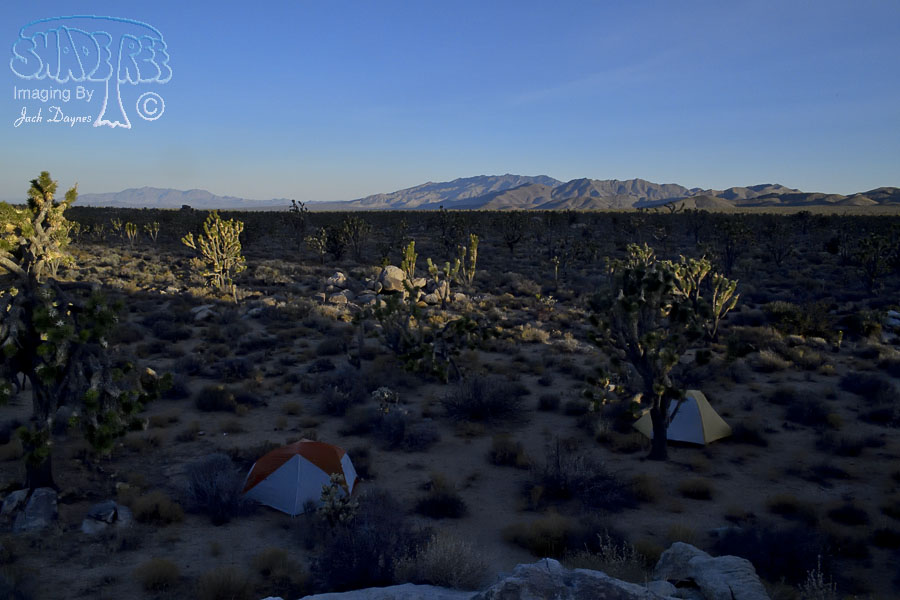 Scenery Near Camp at Daybreak - n/a