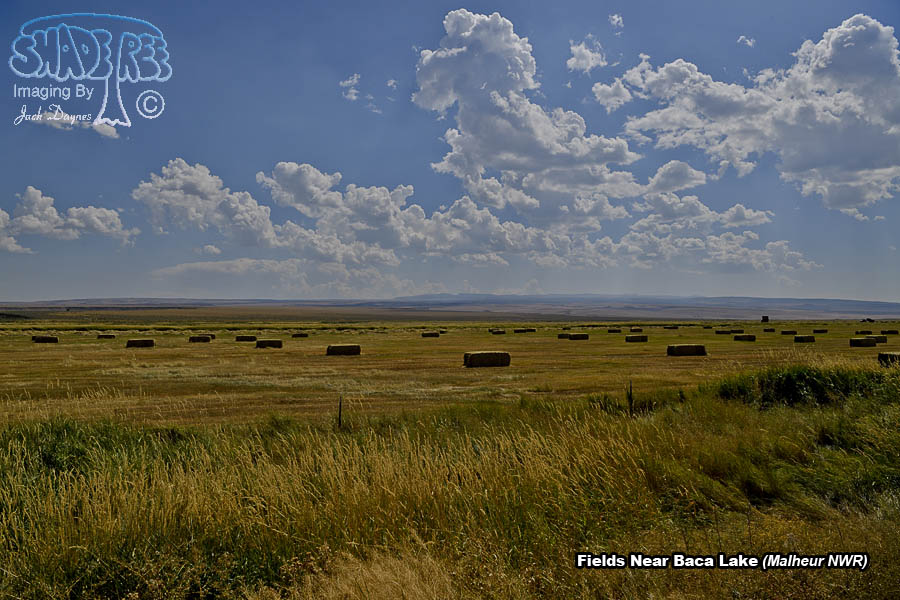 Fields Near Baca Lake - Scenery